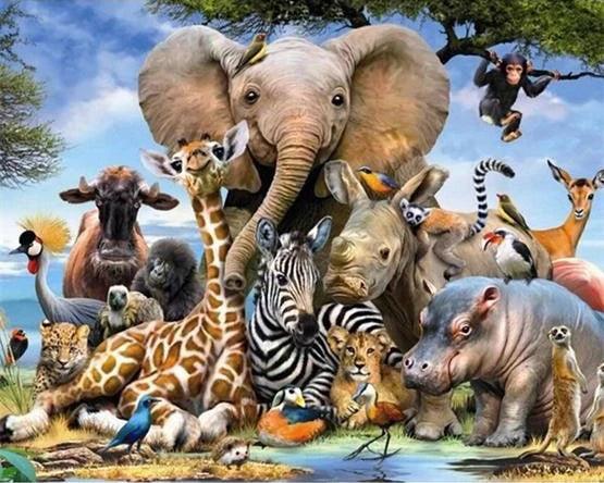 African Animals - Full Drill 5D DIY Diamond Painting Kits - Diamond Art Dezigns