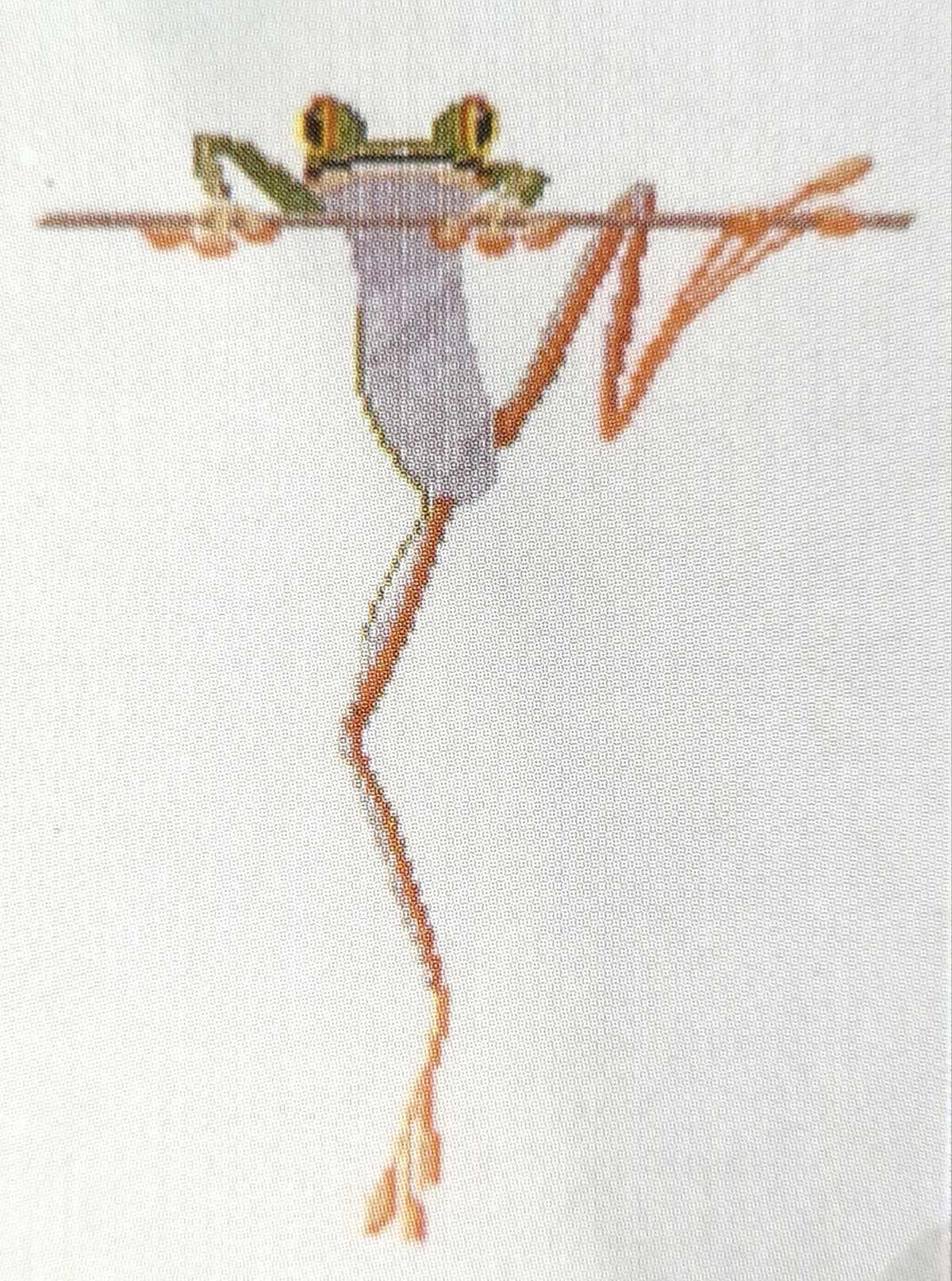 Australian Frogs 01 Cross Stitch Kit - Diamond Art Dezigns