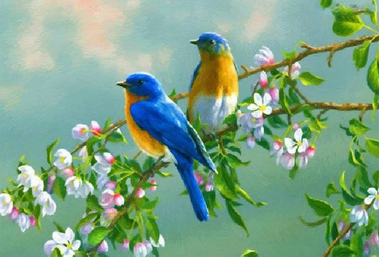 Blue Yellow Birds - Full Drill 5D DIY Diamond Painting Kits - Diamond Art Dezigns