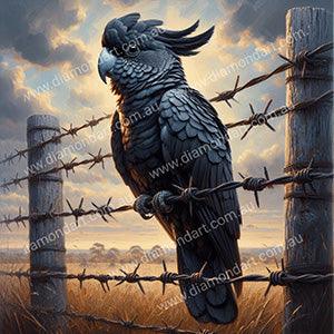 Black Cockatoo Fence - Full Drill 5D DIY Diamond Painting Kits - Diamond Art Dezigns