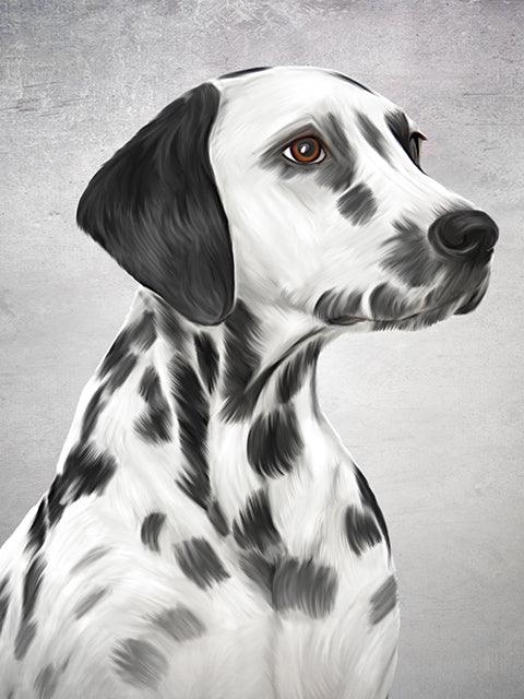 Dalmatian - Full Drill 5D DIY Diamond Painting Kits - Diamond Art Dezigns