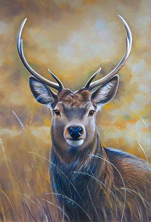 Deer Field - Full Drill 5D DIY Diamond Painting Kits - Diamond Art Dezigns