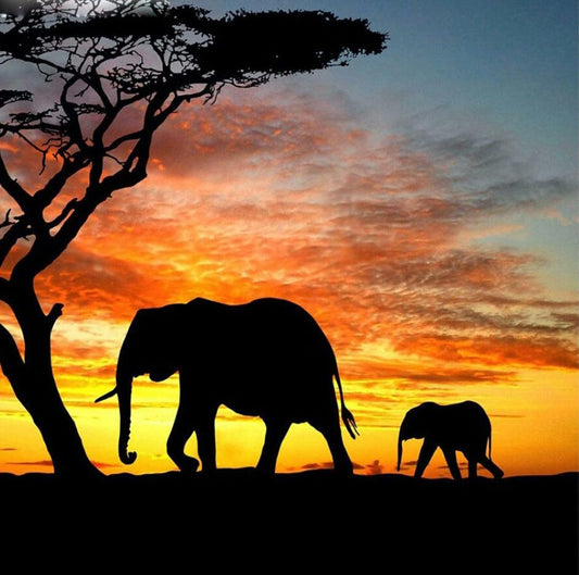 Elephant 2 - Full Drill 5D DIY Diamond Painting Kits - Diamond Art Dezigns