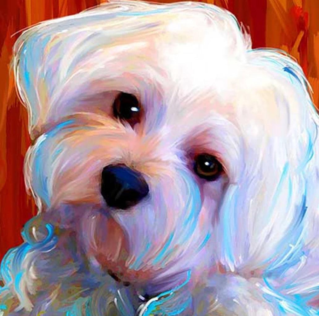 Maltese Eyes - Full Drill 5D DIY Diamond Painting Kits - Diamond Art Dezigns