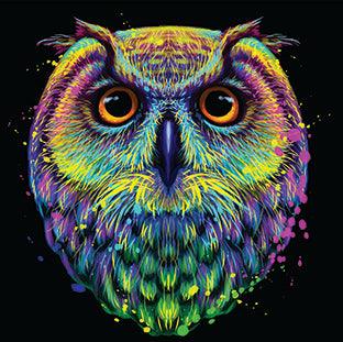 Owl Vibrant - Full Drill 5D DIY Diamond Painting Kits - Diamond Art Dezigns