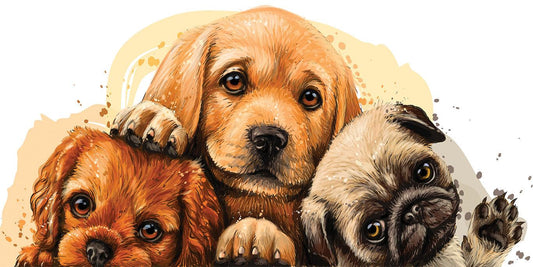 Puppy Group - Full Drill 5D DIY Diamond Painting Kits - Diamond Art Dezigns