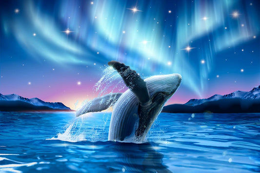 Whale Aurora - Full Drill 5D DIY Diamond Painting Kits - Diamond Art Dezigns