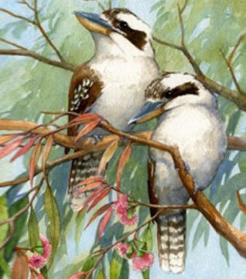 Kookaburra - Full Drill 5D DIY Diamond Painting Kits - Diamond Art Dezigns