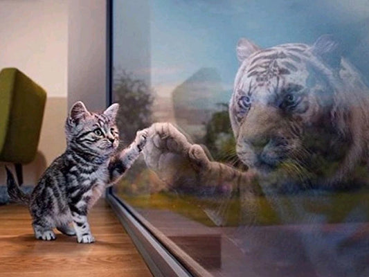 Tiger Kitten Paw - Full Drill 5D DIY Diamond Painting Kits - Diamond Art Dezigns