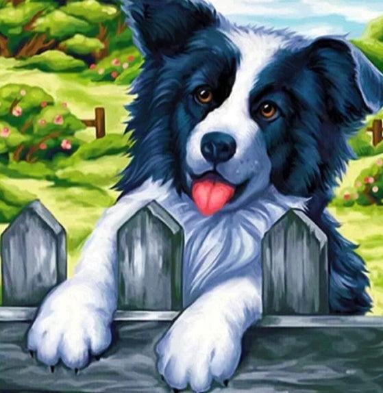 Border Collie - Full Drill 5D DIY Diamond Painting Kits - Diamond Art Dezigns