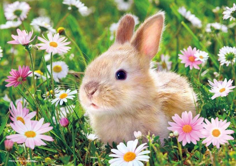 Bunny Daisy - Full Drill 5D DIY Diamond Painting Kits - Diamond Art Dezigns