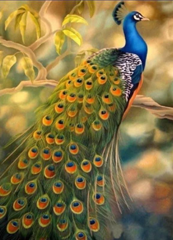 Peacock Branch - Full Drill 5D DIY Diamond Painting Kits - Diamond Art Dezigns