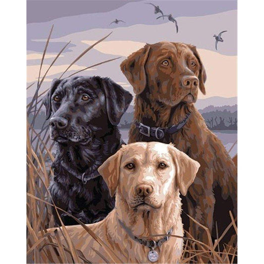 Labradors 3 - Full Drill 5D DIY Diamond Painting Kits - Diamond Art Dezigns