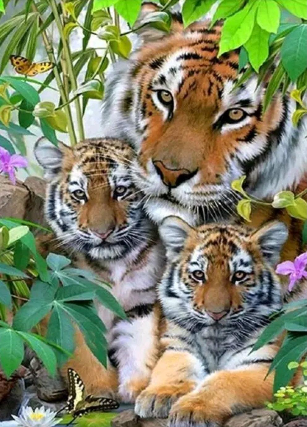 Tiger & Cubs - Full Drill 5D DIY Diamond Painting Kits - Diamond Art Dezigns
