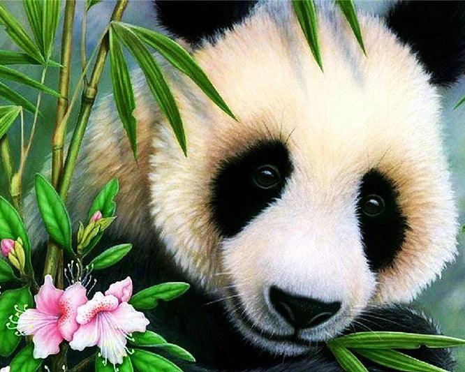 Panda Flower - Full Drill 5D DIY Diamond Painting Kits - Diamond Art Dezigns