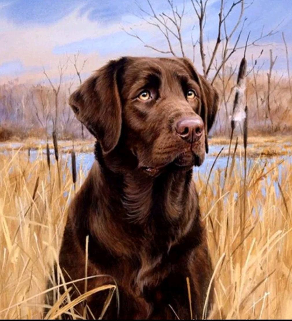 Dog Labrador - Full Drill 5D DIY Diamond Painting Kits - Diamond Art Dezigns