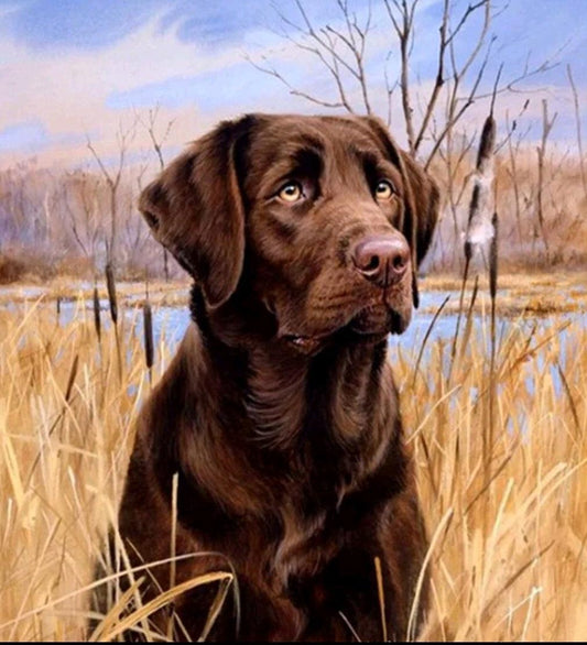 Dog Labrador - Full Drill 5D DIY Diamond Painting Kits - Diamond Art Dezigns