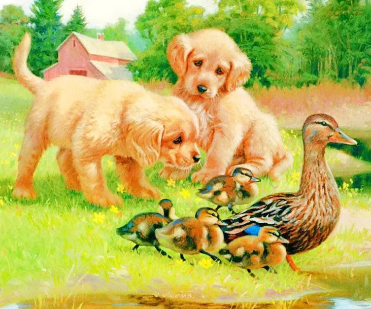 Puppy Ducks - Full Drill 5D DIY Diamond Painting Kits - Diamond Art Dezigns