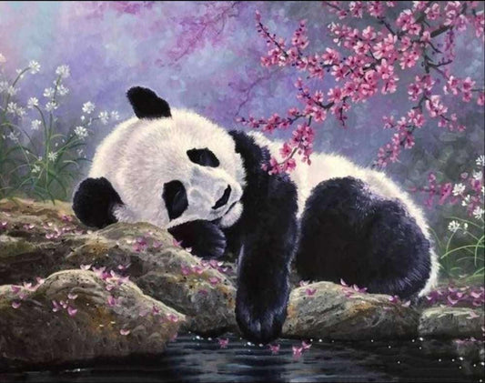 Panda Sleeping - Full Drill 5D DIY Diamond Painting Kits - Diamond Art Dezigns