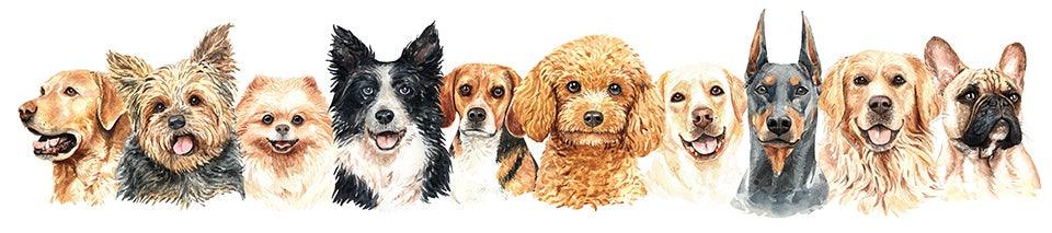 Dogs Galore 100x25 - Full Drill 5D DIY Diamond Painting Kits - Diamond Art Dezigns