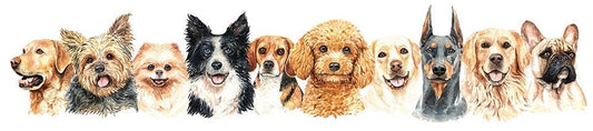 Dogs Galore 100x25 - Full Drill 5D DIY Diamond Painting Kits - Diamond Art Dezigns