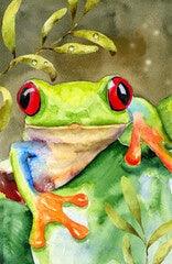 Frog Eyes - Full Drill 5D DIY Diamond Painting Kits - Diamond Art Dezigns