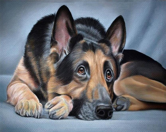 German Shepherd - Full Drill 5D DIY Diamond Painting Kits - Diamond Art Dezigns