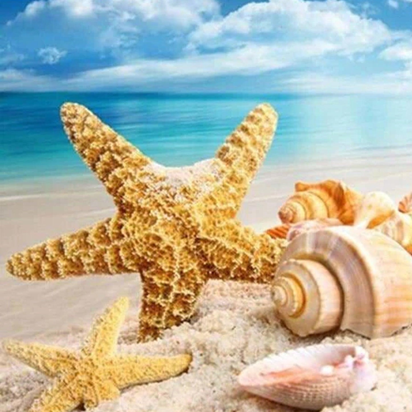 Mini Kit - Seashell - Full Drill 5D DIY Diamond Painting Kits - Diamond Art Dezigns