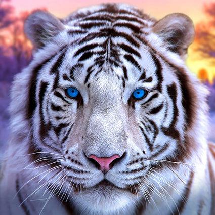 Mini Kit - Tiger - Full Drill 5D DIY Diamond Painting Kits - Diamond Art Dezigns