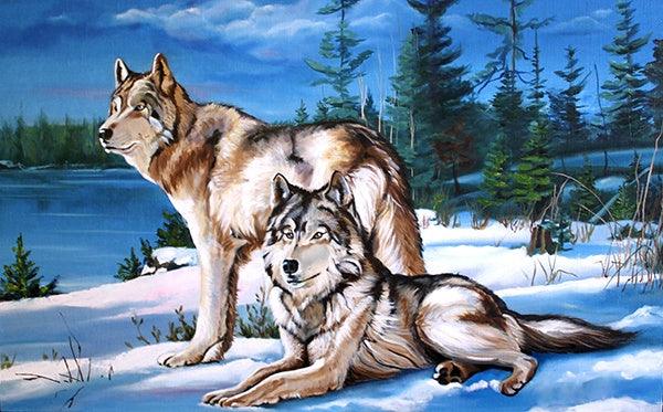 Wolf Snow 40x30 - Diamond Art Dezigns