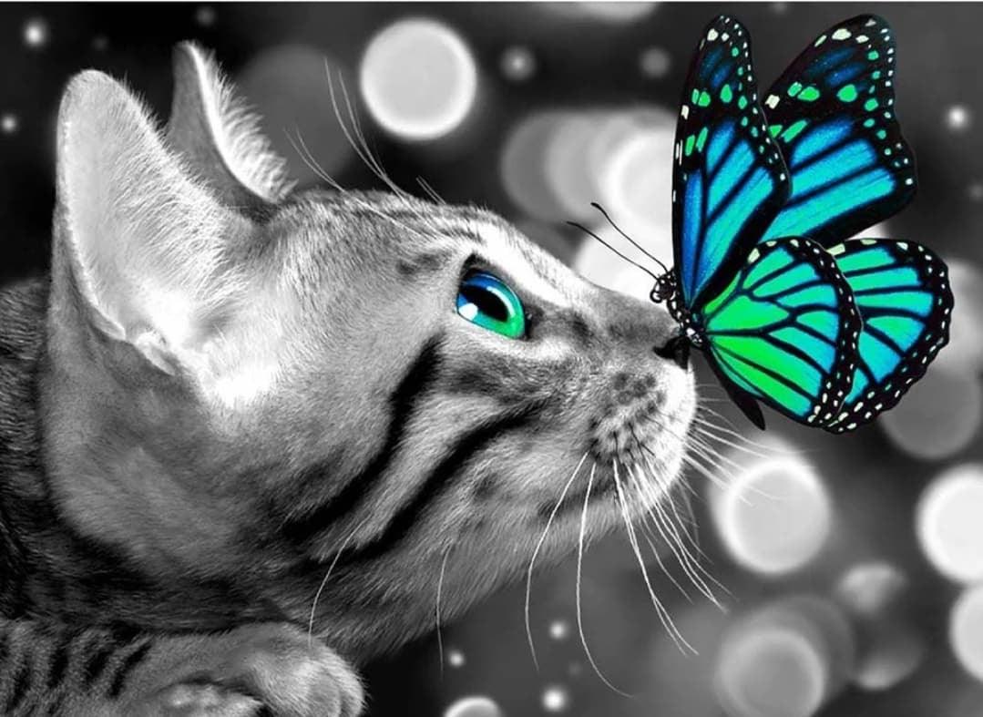 Kitten Butterfly - Full Drill 5D DIY Diamond Painting Kits - Diamond Art Dezigns