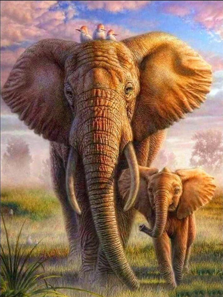 Elephant & Baby - Full Drill 5D DIY Diamond Painting Kits - Diamond Art Dezigns