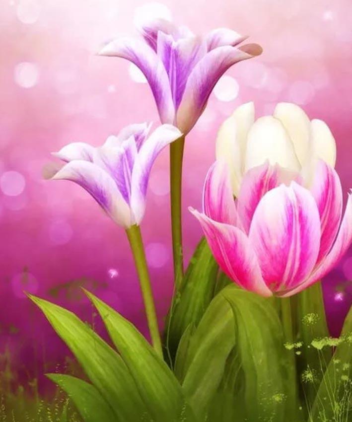 Flower Dust - 30x25 - Diamond Art Dezigns