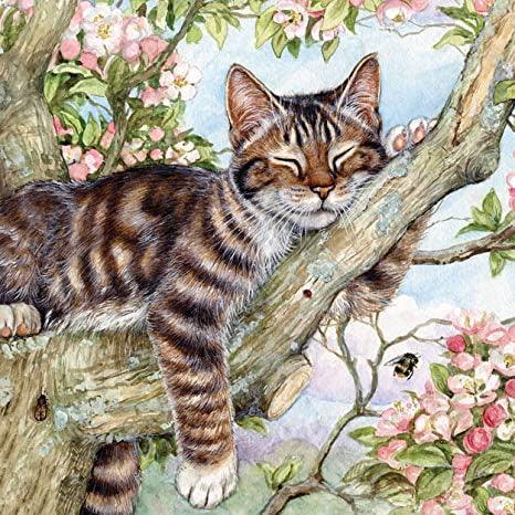Kitten Tree - Full Drill 5D DIY Diamond Painting Kits - Diamond Art Dezigns