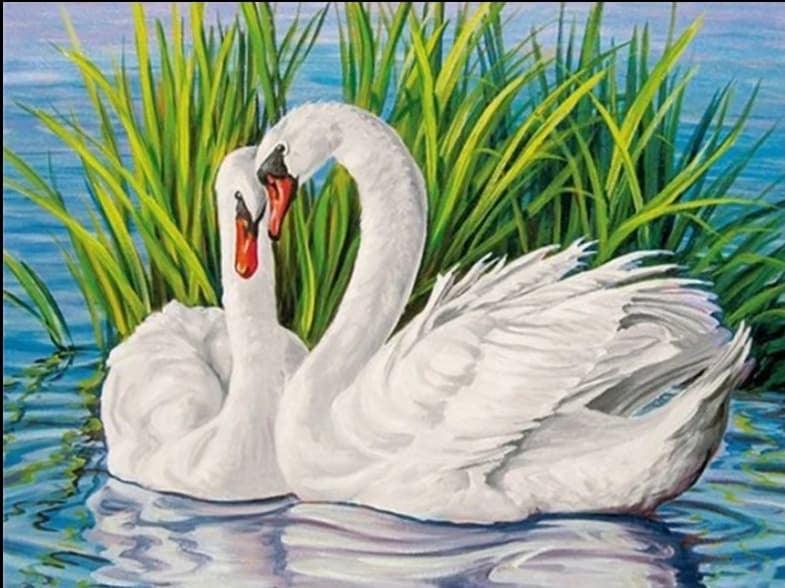 Swan Love - Full Drill 5D DIY Diamond Painting Kits - Diamond Art Dezigns