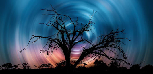 Tree Star Glow - Diamond Art Dezigns