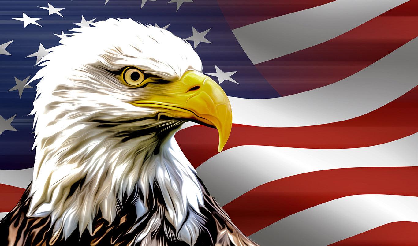 American Eagle - Full Drill 5D DIY Diamond Painting Kits - Diamond Art Dezigns
