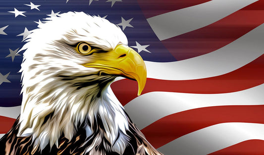 American Eagle - Full Drill 5D DIY Diamond Painting Kits - Diamond Art Dezigns