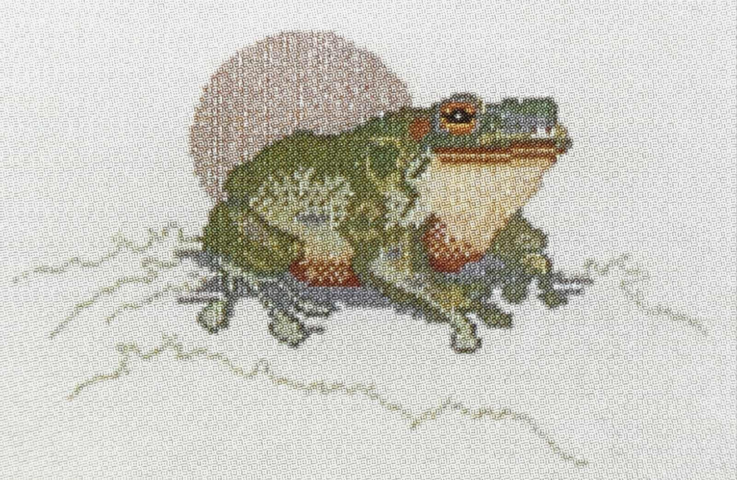 Australian Frogs 02 Cross Stitch Kit - Diamond Art Dezigns
