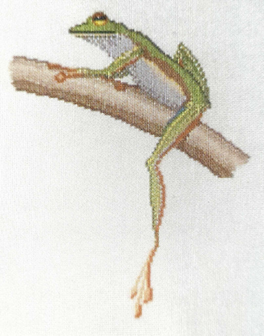 Australian Frogs 03 Cross Stitch Kit - Diamond Art Dezigns