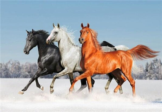 Horses 3 - Full Drill 5D DIY Diamond Painting Kits - Diamond Art Dezigns