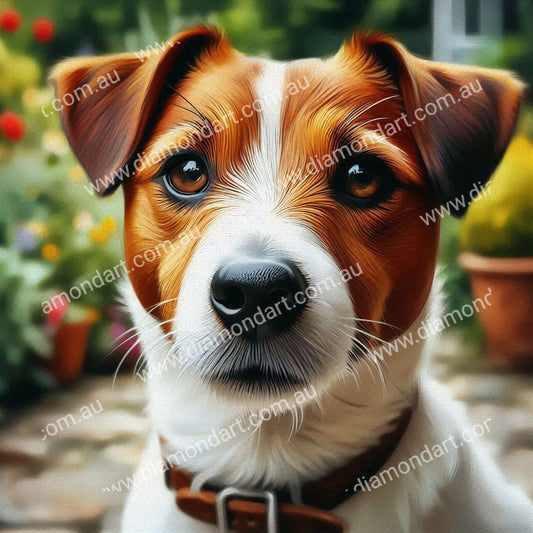 Jillian Jack Russel