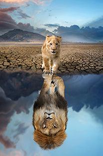 Lion Cub Mirror - Full Drill 5D DIY Diamond Painting Kits - Diamond Art Dezigns