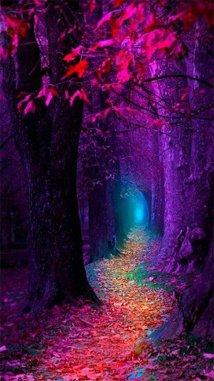 Purple Woods - Full Drill 5D DIY Diamond Painting Kits