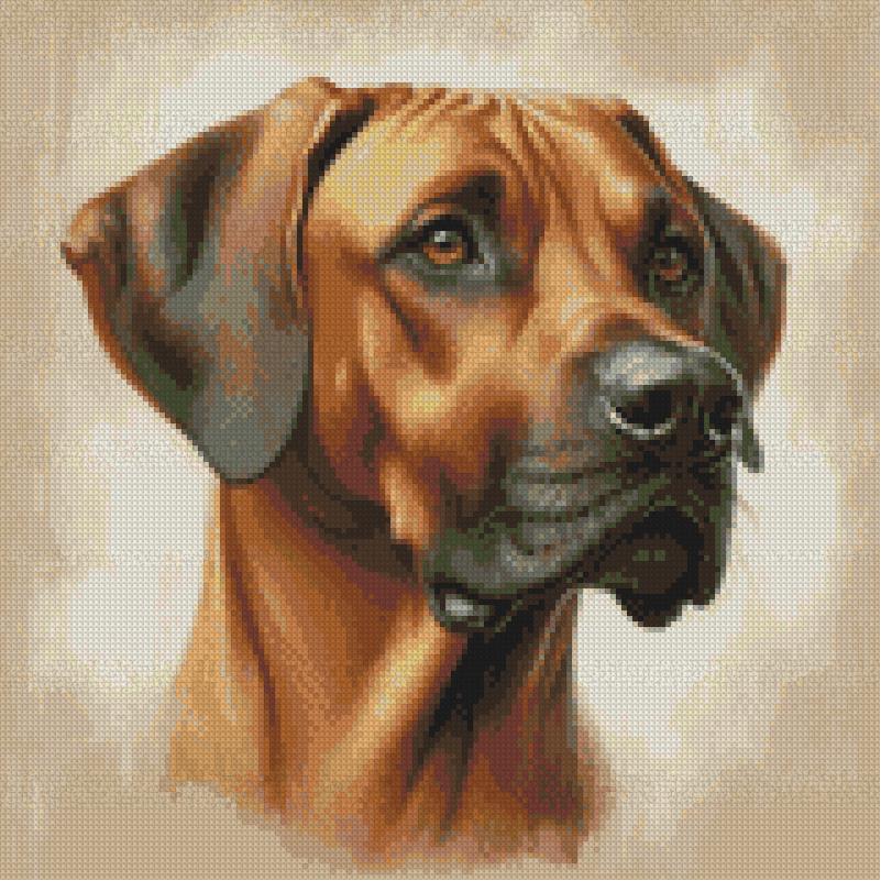 Rhodesian Ridgeback