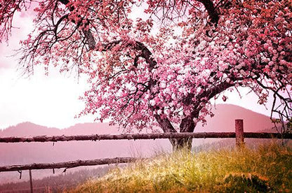 Blossom Tree - Diamond Art Dezigns