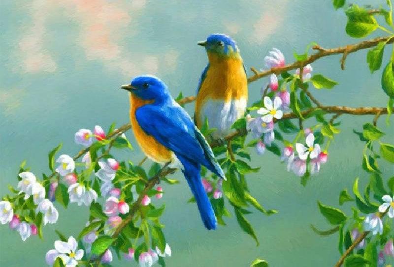 Blue Yellow Birds - Diamond Art Dezigns