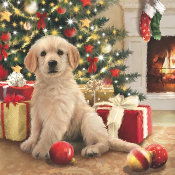 Christmas Tree Puppy - Diamond Art Dezigns