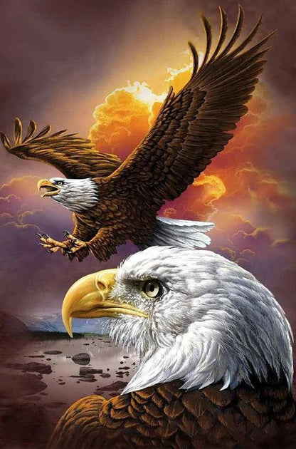 Eagle 30x40 SALE! - Diamond Art Dezigns