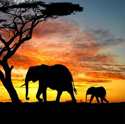 Elephant 2 - Diamond Art Dezigns